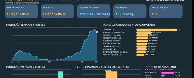 El imparable vuelo del arándano peruano: - semana 38 - 2026 - top 10  y variedades