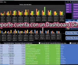 Exportaciones de Chia Año 2023 a la Semana 31 del 2026