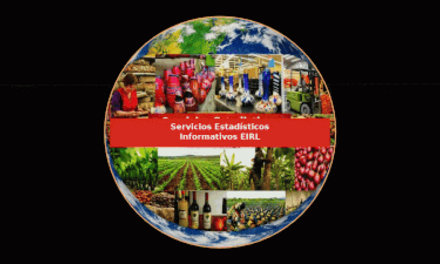 Estadística para Exportadores - ¨Planes semestrales y Anuales
